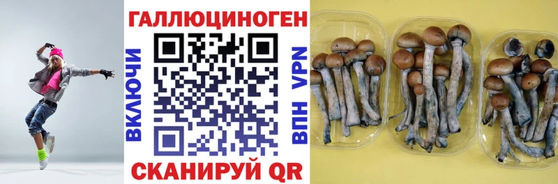 mega зеркало цена наркотик Полтавская Галлюциногенные грибы Cubensis