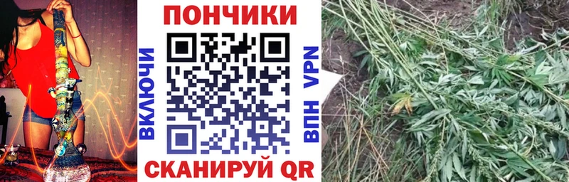 Бошки Шишки OG Kush  Полтавская 